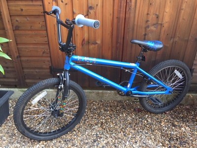 mongoose subject 2011